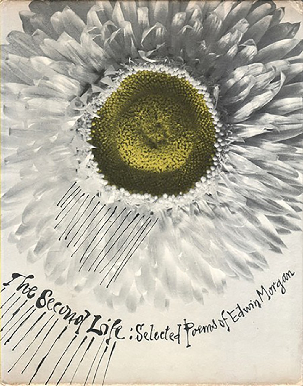 The Second Life Artist Grants – Stage two&nbsp;Announcement